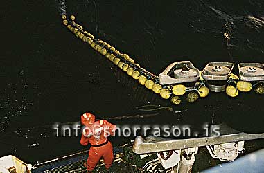 Filma: HS001684-01