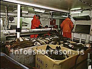 Filma: HS001688-01