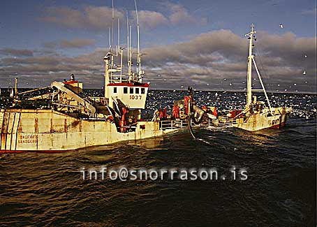 Filma: HS001737-01