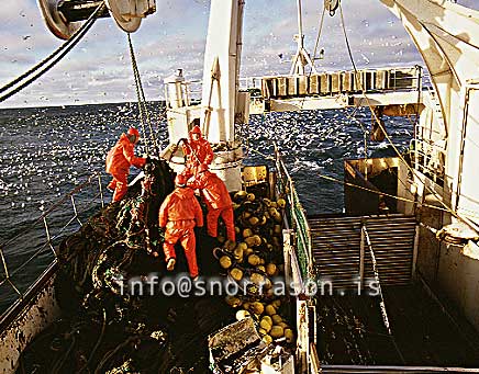Filma: HS001739-01