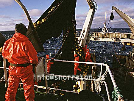 Filma: HS001740-01