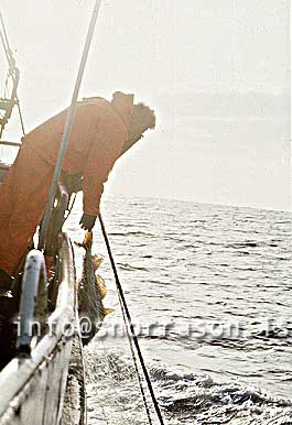 Filma: HS001742-01