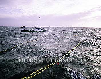 Filma: HS001989-01