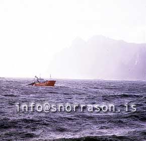 Filma: HS002036-01