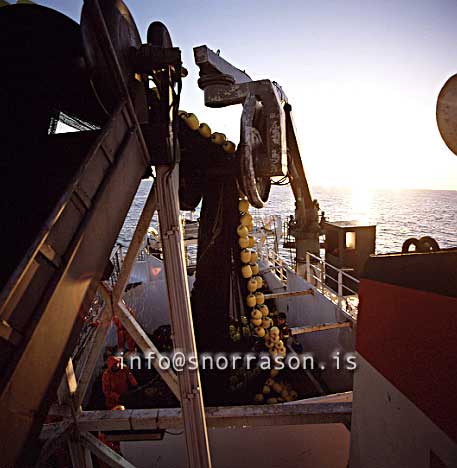 Filma: HS002194-01