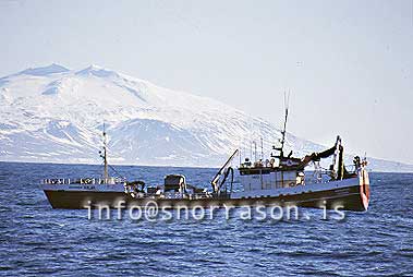 hs002263-01