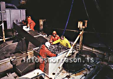 Filma: HS002267-01