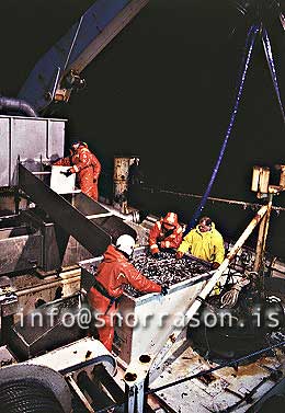 Filma: HS002268-01