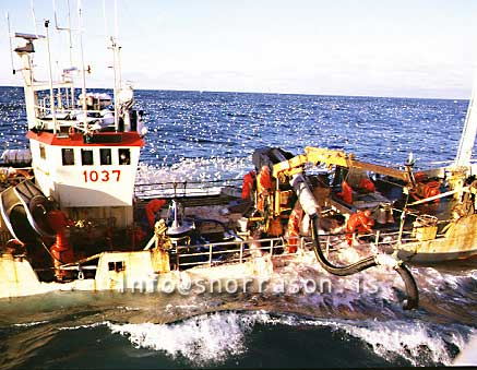 hs003627-01