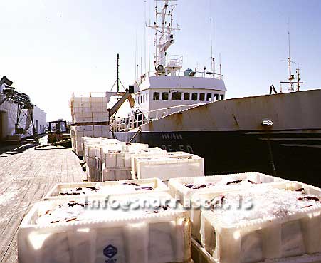 hs004990-01