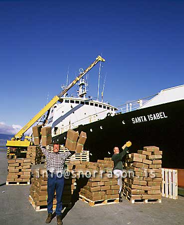 hs006539-01