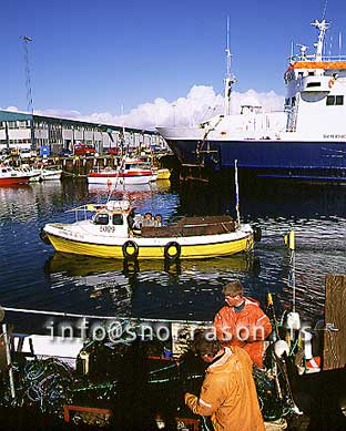 hs006584-01