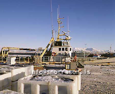Filma: HS006586-01