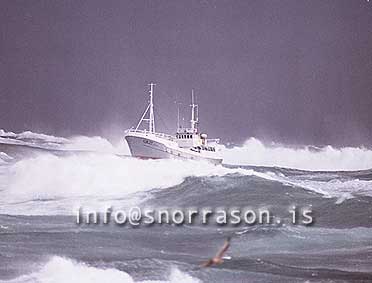 hs007338-01
