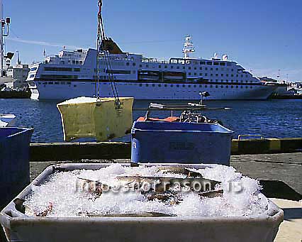 hs011319-01