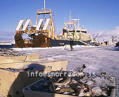 hs012257-01