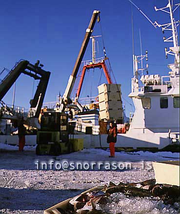 hs012275-01