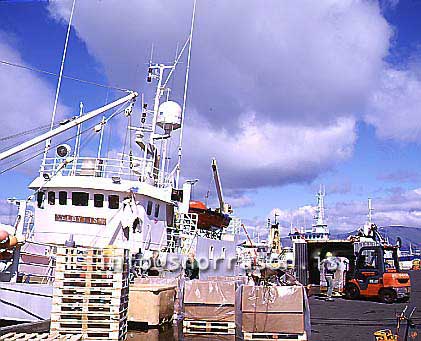 hs012805-01