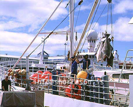 hs012814-01